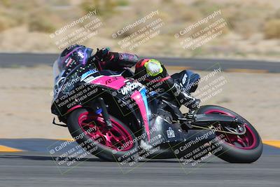 media/Mar-26-2023-CVMA (Sun) [[318ada6d46]]/Race 13 500 Supersport-350 Supersport/